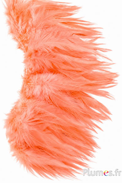 Franje haan - lengte veren 10-15 cm - zalmroze